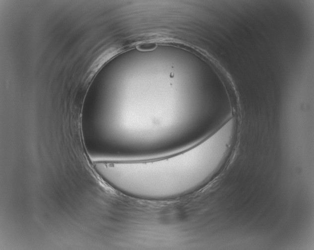 X0000077341289200610200931