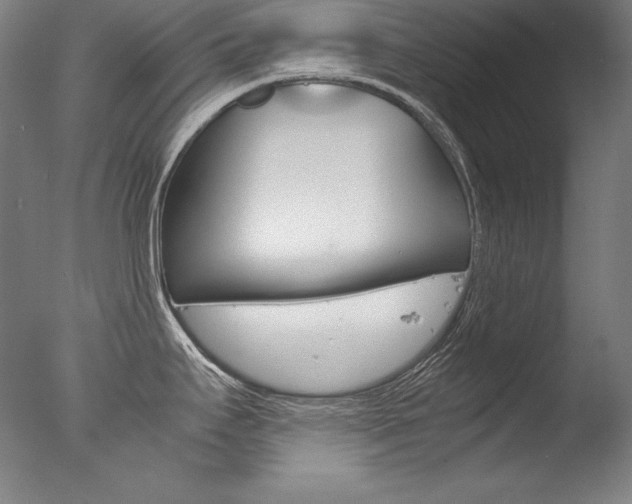 X0000077341295200610200931