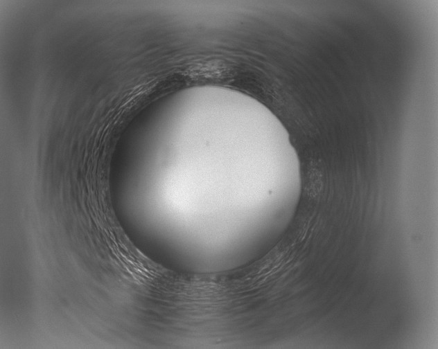 X0000077341297200610200930