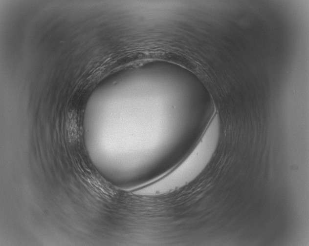 X0000077341298200610200930