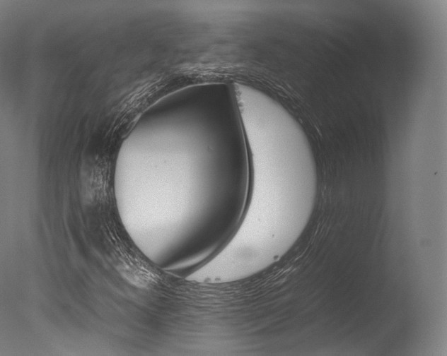 X0000077341300200610200930
