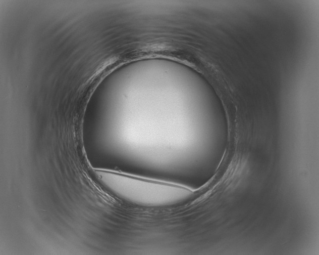 X0000077341305200610200930