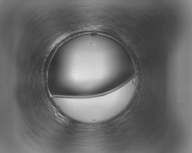 X0000077341308200610200930