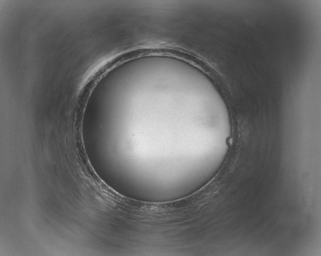 X0000077341311200610200930