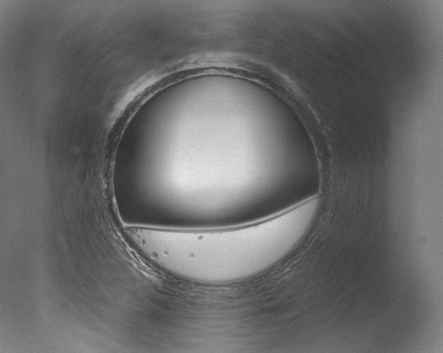 X0000077341312200610200930