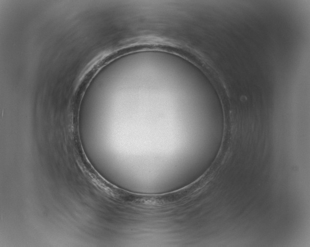 X0000077341318200610200930