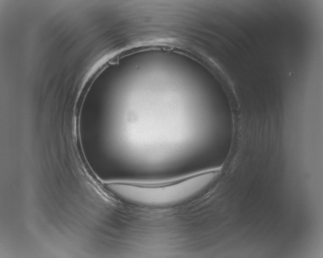 X0000077341324200610200930
