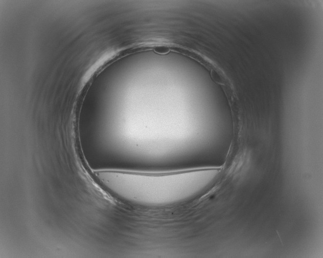 X0000077341325200610200930