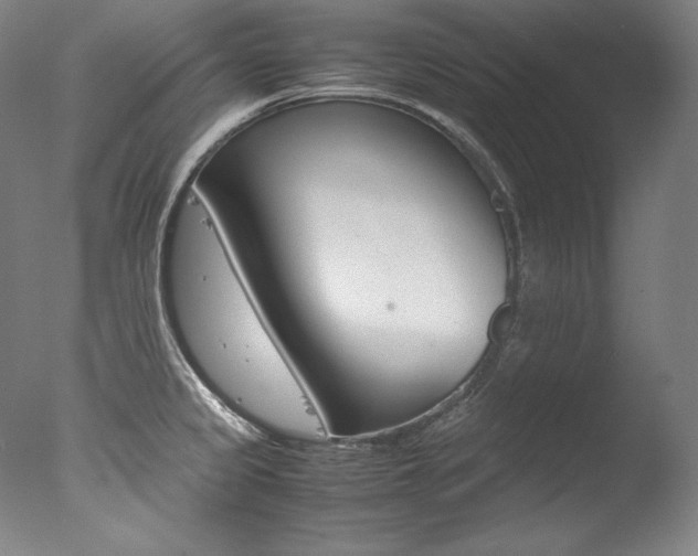 X0000077341333200610200931