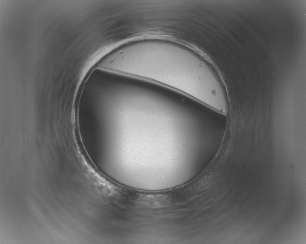 X0000077341335200610200931