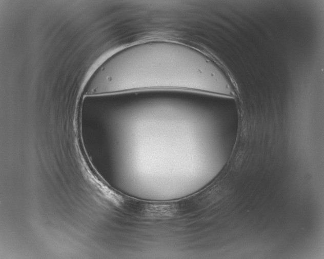 X0000077341339200610200931