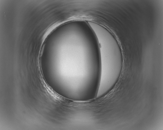 X0000077341344200610200931