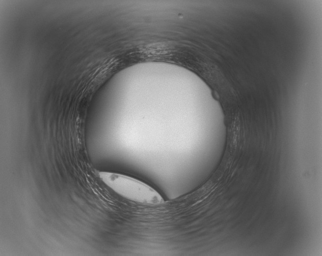 X0000077341346200610200930