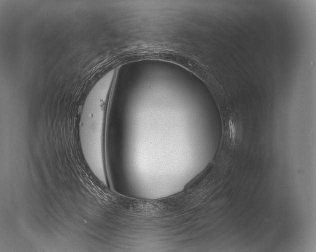 X0000077341348200610200930