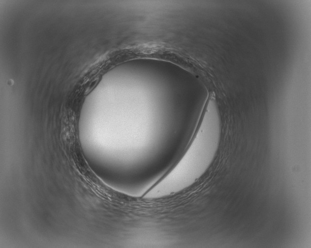 X0000077341349200610200930