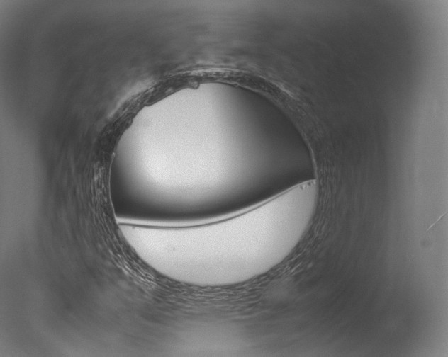 X0000077341351200610200930