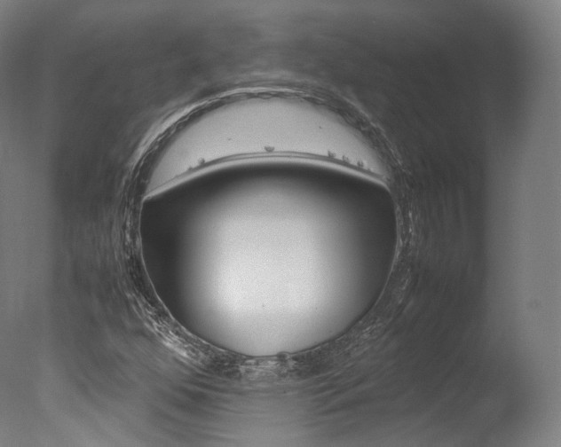 X0000077341352200610200930