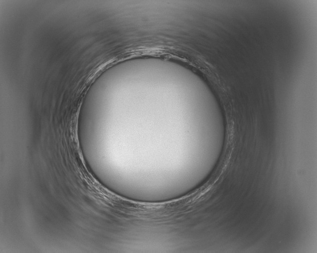 X0000077341353200610200930