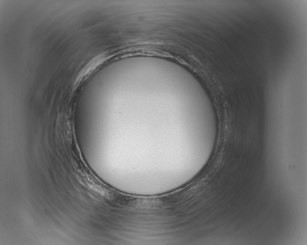 X0000077341354200610200930