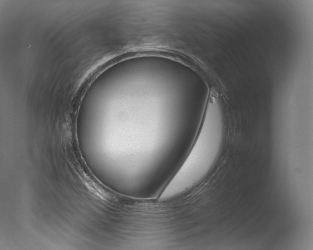 X0000077341356200610200930