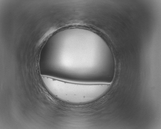 X0000077341359200610200930