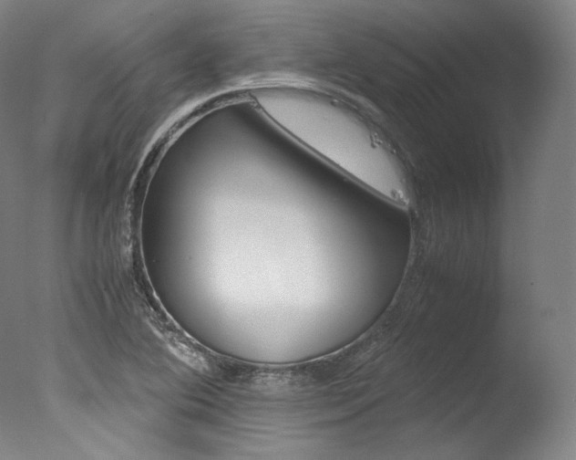 X0000077341364200610200930