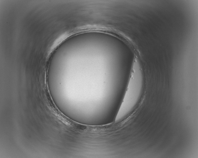 X0000077341365200610200930