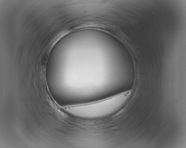X0000077341369200610200930