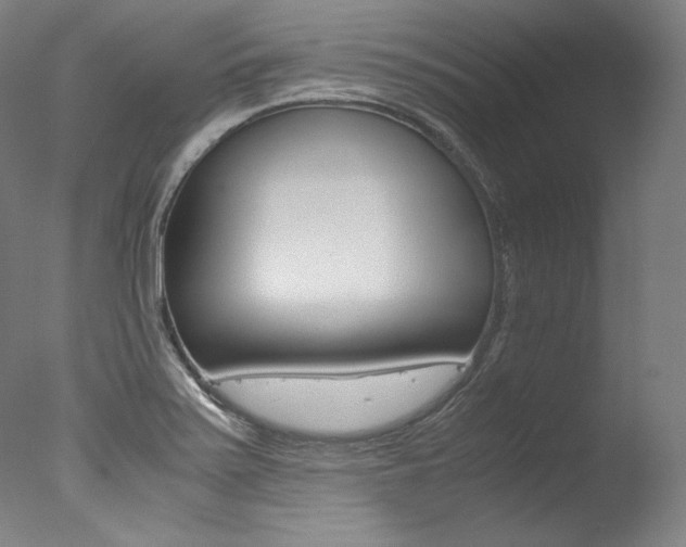 X0000077341371200610200930