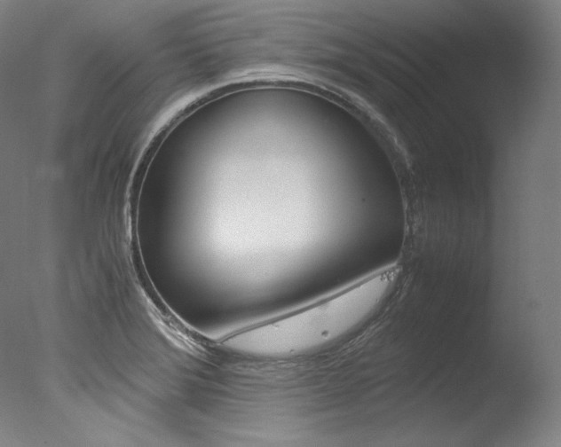 X0000077341372200610200930