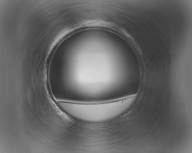 X0000077341376200610200929