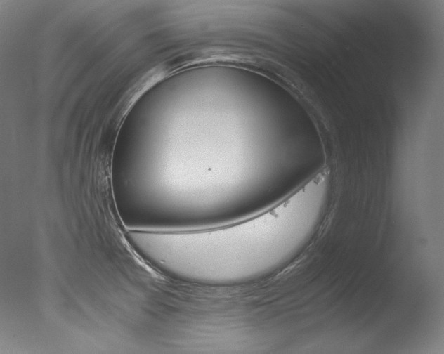 X0000077341377200610200929