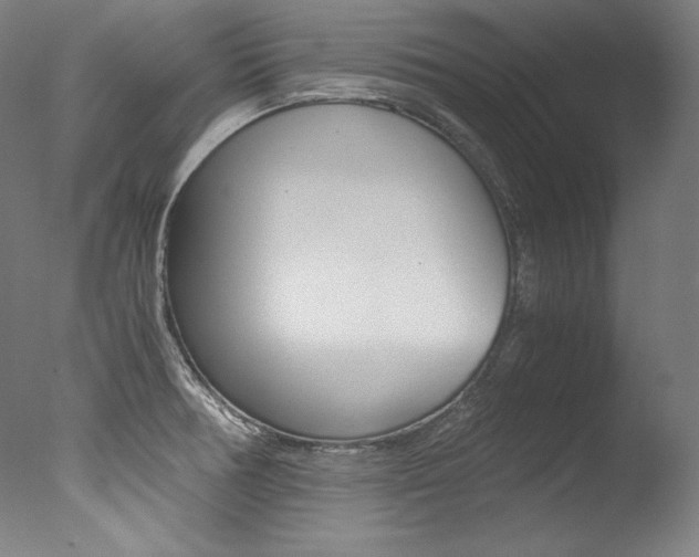 X0000077341378200610200929