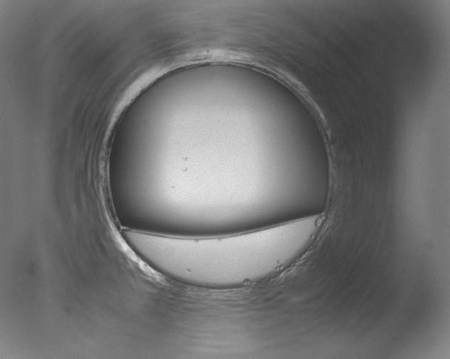 X0000077341381200610200929