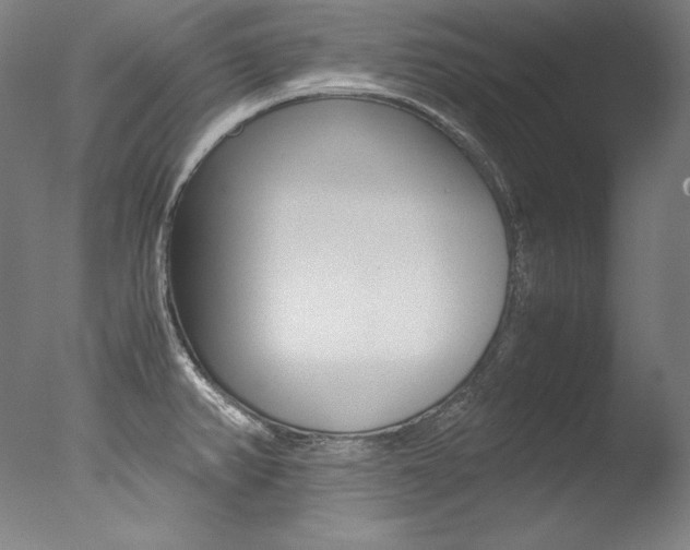 X0000077341382200610200929