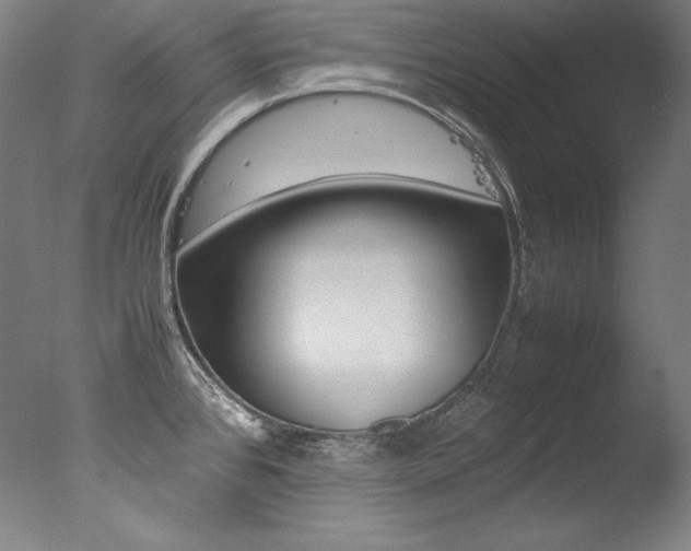 X0000077341384200610200929