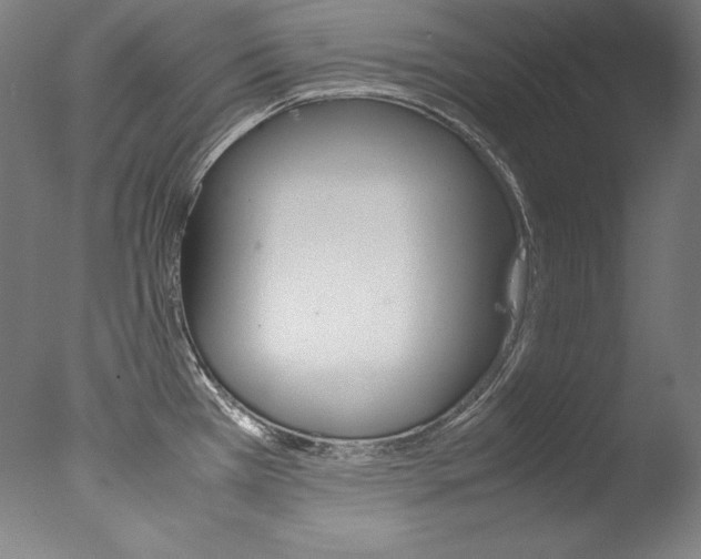 X0000077341385200610200929
