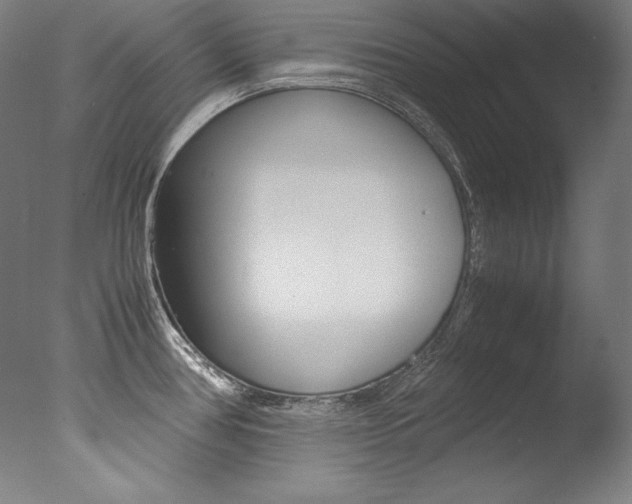 X0000077341386200610200929