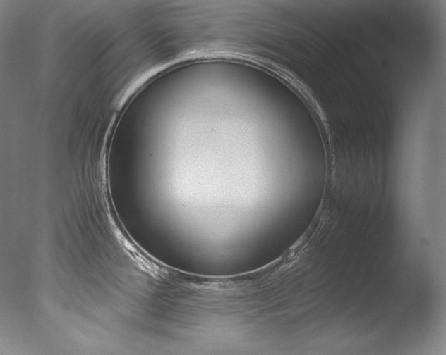 X0000077341388200610200929