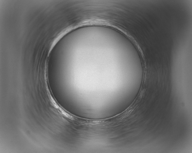 X0000077341390200610200929