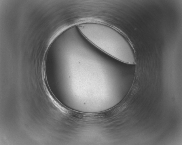 X0000077341391200610200929