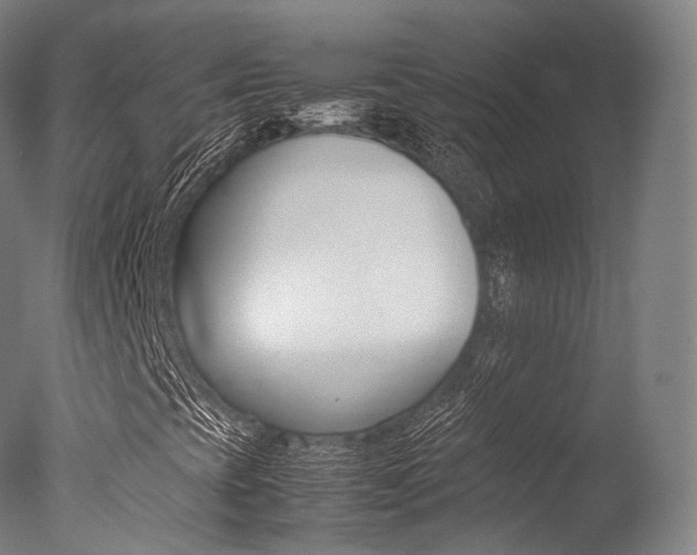 X0000077341393200610200928