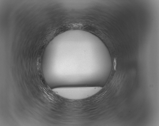 X0000077341395200610200928