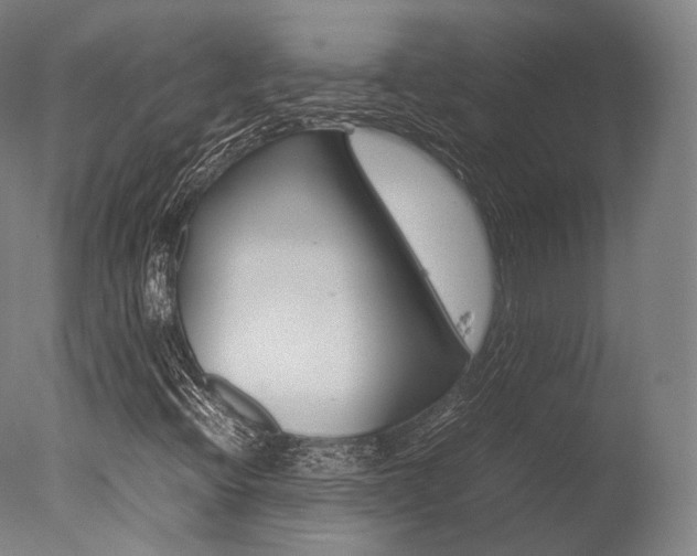 X0000077341396200610200928