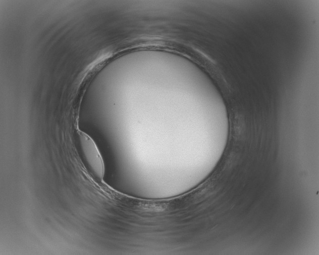X0000077341411200610200929
