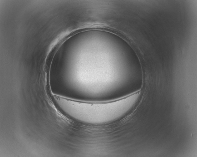 X0000077341414200610200929