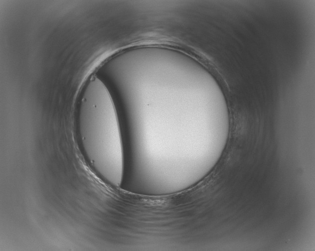 X0000077341415200610200929