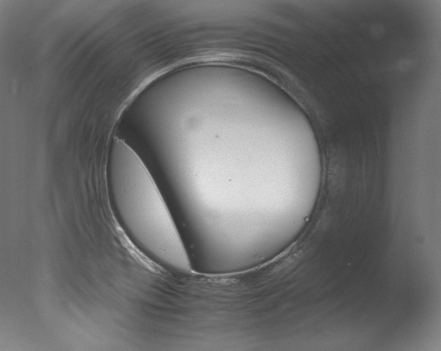 X0000077341417200610200929