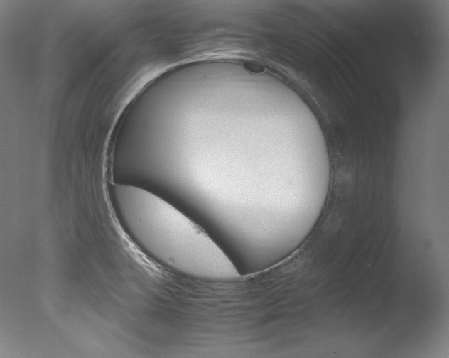 X0000077341423200610200929