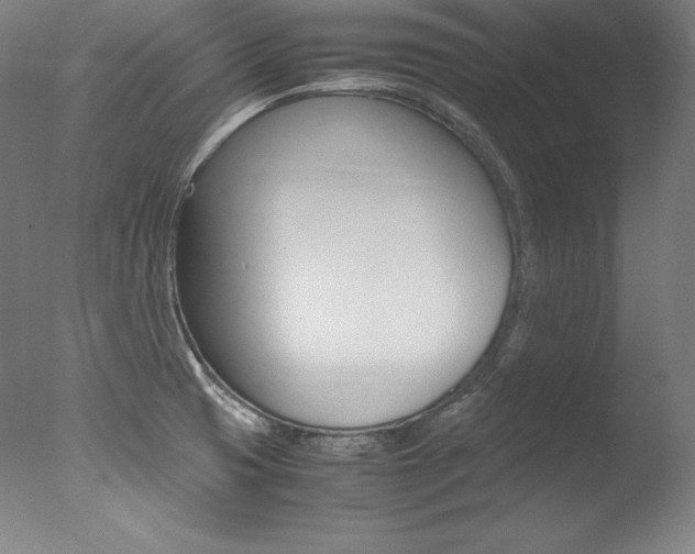 X0000077341425200610200929